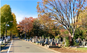 雑司ケ谷霊園